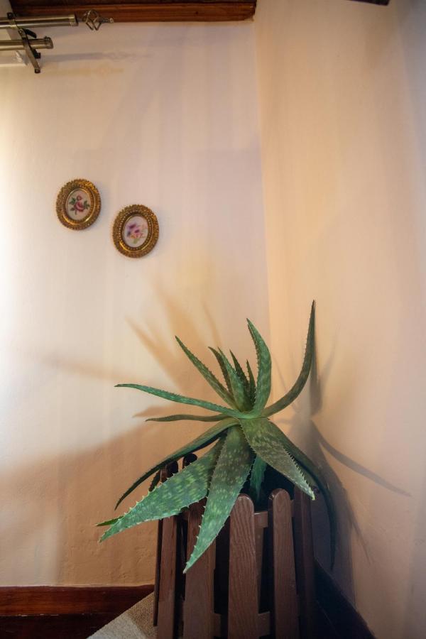 Aggelina's House By Guestcorfu Apartment